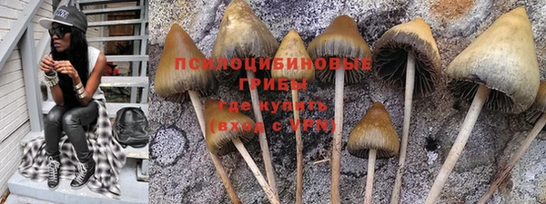 дурь Строитель