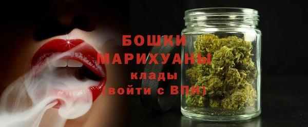 молекула духа Сосновый Бор