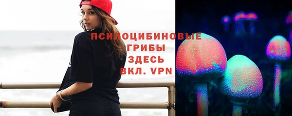 молекула духа Сосновый Бор