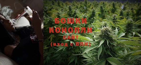 дживик Сосновка