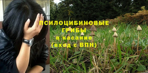 дживик Сосновка